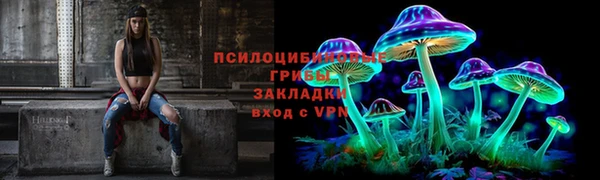 СК Алексеевка