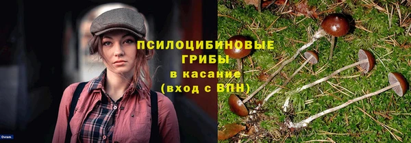 таблы Алзамай