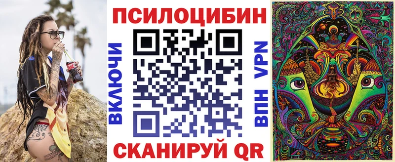 закладки  Абинск  Галлюциногенные грибы Psilocybine cubensis 