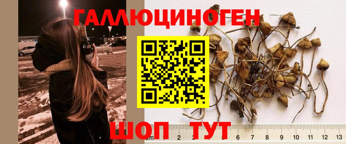 Абинск  COCAIN  NBOMe  Каннабис  Вход с VPN  Хэш  Конопля  Меф 