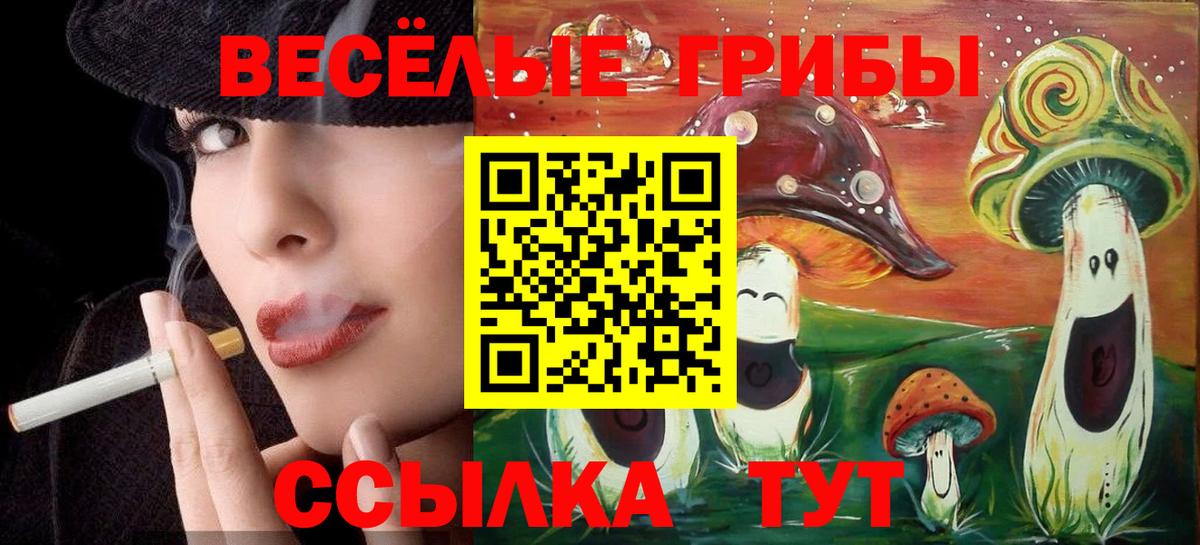 Псилоцибиновые грибы GOLDEN TEACHER Абинск