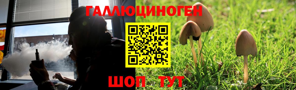 Псилоцибиновые грибы Psilocybine cubensis  купить  сайты  Абинск 